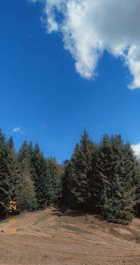 Садиба У Пані Марії Vorokhta Exterior photo